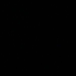 Meet your Posher, Dan